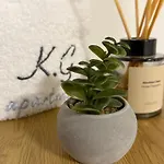 K.g 2